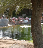 Al-Ain-Zoo