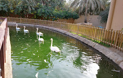 Zoo d'Al-Aïn