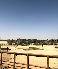 Zoo d'Al-Aïn