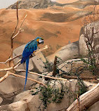 Al-Ain-Zoo