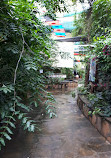 Mombasa Butterfly House