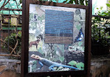 Mombasa Butterfly House