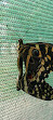 Mombasa Butterfly House