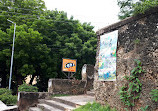 Mombasa Butterfly House