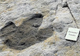 Dinosaur Tracksite