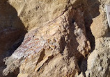 Dinosaur Tracksite