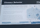 Dinosaur Tracksite