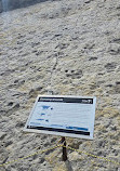 Dinosaur Tracksite