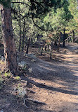 Dakota Ridge Trailhead