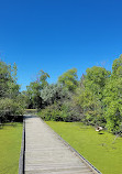 Wetland Boardwalk Trail