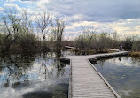 Wetland Boardwalk Trail