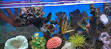 Marine Aquarium Mysore