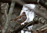 Rose Oaks County Park