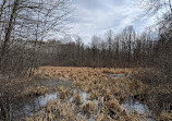 Rose Oaks County Park