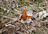 Rose Oaks County Park