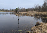 Rose Oaks County Park