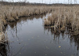 Rose Oaks County Park