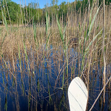 Crotched Lake Access