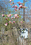 Nature Boardwalk at Lincoln Park Zoo