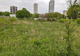 Nature Boardwalk at Lincoln Park Zoo