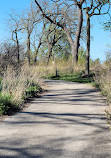 Nature Boardwalk at Lincoln Park Zoo