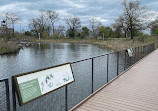 Nature Boardwalk at Lincoln Park Zoo