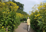 Nature Boardwalk at Lincoln Park Zoo