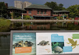 Nature Boardwalk at Lincoln Park Zoo