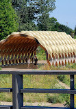 Nature Boardwalk at Lincoln Park Zoo