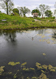 Nature Boardwalk at Lincoln Park Zoo