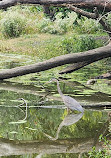 Trailside Museum of Natural History