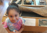 Trailside Museum of Natural History