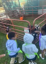 Barefoot Creek Farm MOBILE Petting Zoo