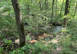 Fall Hollow Falls