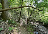 Fall Hollow Falls