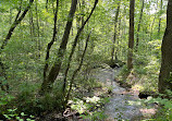 Fall Hollow Falls