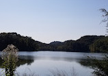 Friends of Radnor Lake