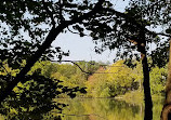 Friends of Radnor Lake