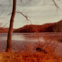 Friends of Radnor Lake