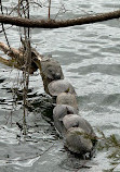 Radnor Lake State Park