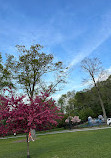 Verona Park Playground