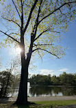 Verona Park Playground