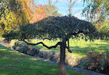 Verona Park Playground