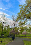 Verona Park Playground