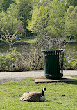 Verona Park Playground