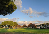 Montague Park