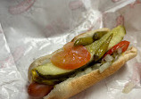 Clark Street Dog