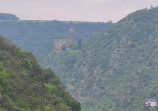 Rheinfels Castle