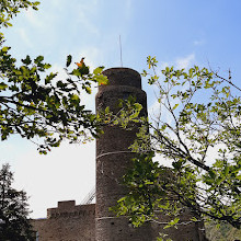 Burg Maus