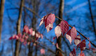 Ramapo Valley County Reservation